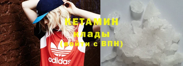 крисы Бородино