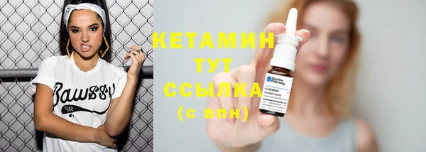 крисы Бородино